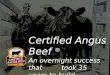 [BeefSummit Brasil] John Stika: Certified Angus Beef: uma ideia nova há 35 anos atrás, e um grande sucesso nos dias de hoje - como agregamos valor ao produtor, promovendo uma marca