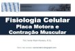 Fisiologia Celular - placa motora e contração muscular