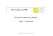 Workshop CAPM® - Carlos Augusto Freitas