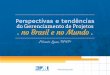 Perspectivas e Tendências do Gerenciamento de Projetos no Brasil e no Mundo