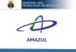 Apresentação Amazul Simpósio sobre Submersíveis 10/04/2014