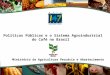 Palestra Institucional Thiago Masson - Ministerio da Agricultura