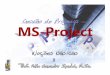 Gest£o de Projetos com MS-Project 2010
