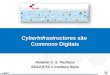 Cyberinfrastructures são commons digitais