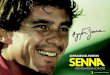 20 Frases de Ayrton Senna - Homenagem ao Mito