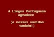 Erros de português. Muito legal!