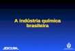 Abiquim   industria quimica-brasileira 2010