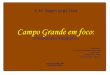 1 Exposi§£o fotogrfica: Campo Grande em foco - E. M. Nagen Jorge Saad