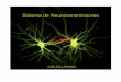 11-04 Sistemas de Neurotransmissores