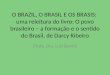 O Povo Brasileiro – a formação e o sentido do Brasil