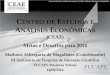 Centro de Estudos e Análises Econômicas (CEAE): metas e desafios para 2014