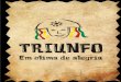 Relatório tcc Triunfo