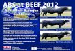 Abs em rockhampton beef 2012