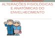 Alteracoes-fisiologicas-e-anatomicas-do-idoso MB aula Parte A 3ºP
