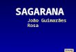 Sagarana - Guimarães Rosa