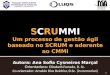 Scrummi: Um processo de Gest£o gil baseado no Scrum e Aderente ao CMMI