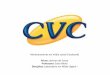 Monitoramento de marcas em redes sociais: O caso da CVC no facebook