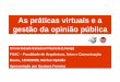 Palestra Praticas virtuais e Opinião pública 13-05-09 na Unesp Bauru