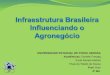 Infraestrutura Brasileira Influenciando o Agronegócio