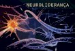 O que é Neuroliderança?