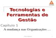 Tecnologia de Gestão aula 1 -2013