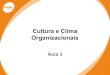 Cultura e clima organizacionais 3