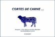 Cortes De Carne   05.08.2007
