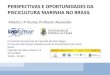 Perspectivas e Oportunidades Da Piscicultura Marinha No Brasil - Akberto j. p. Nunes