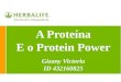 As Proteínas e o Protein Power