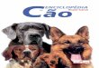 Enciclopedia cao   Royal Canin