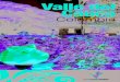 Guia valle del_cauca-web