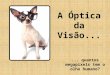 Ótica da visão e lentes