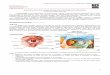 Semiologia 08   oftalmologia - anatomia do olho e exame físico pdf