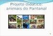 Apresentação do projeto pantanal 3