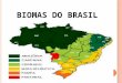 Biomassas no brasil