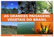As grandes paisagens vegetais  do brasil