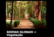 Biomas globais
