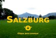 Salzburgo Naf
