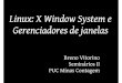 Linux: X Window System e Gerenciadores de janelas