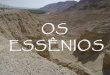 Os Essênios (e as Escrituras do Mar Morto)