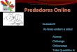 Predadores Online