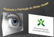 Anatomia e Fisiologia do Globo Ocular