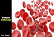 Sangue (histologia)