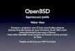OpenBSD Segurança por Padrão