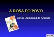A Rosa do Povo - Carlos Drummond de Andrade