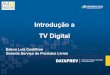 Introd tv digital_fisl11