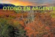 Outono na Argentina!