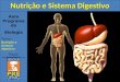 Aula sistema digestivo e nutrição