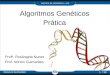 Algoritmos Gen©ticos na Prtica