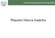 Institucional Piquete Marca Gaucha